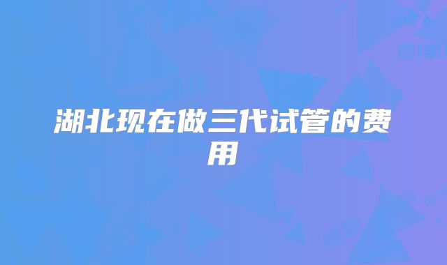 湖北现在做三代试管的费用