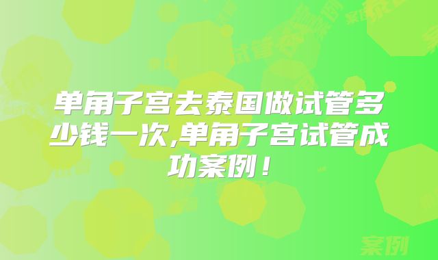 单角子宫去泰国做试管多少钱一次,单角子宫试管成功案例！
