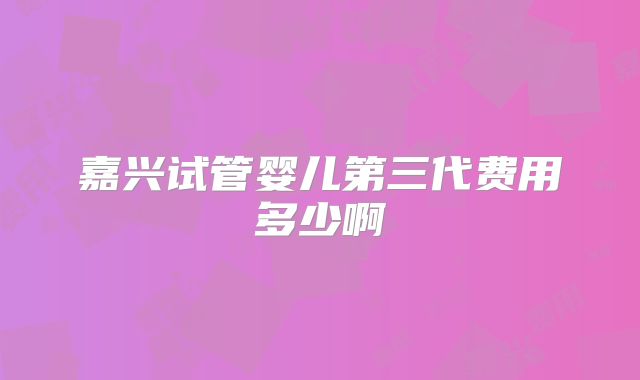 嘉兴试管婴儿第三代费用多少啊