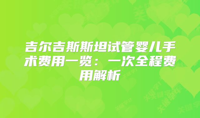 吉尔吉斯斯坦试管婴儿手术费用一览:一次全程费用解析