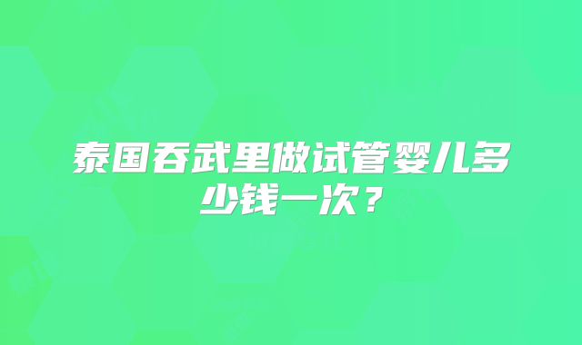 泰国吞武里做试管婴儿多少钱一次？