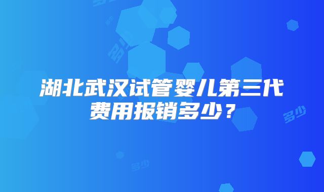 湖北武汉试管婴儿第三代费用报销多少？