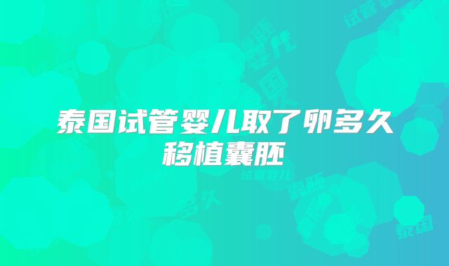 泰国试管婴儿取了卵多久移植囊胚