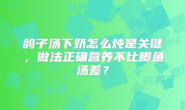 鸽子汤下奶怎么炖是关键,做法正确营养不比鲫鱼汤差?