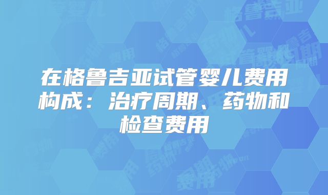 在格鲁吉亚试管婴儿费用构成:治疗周期、药物和检查费用