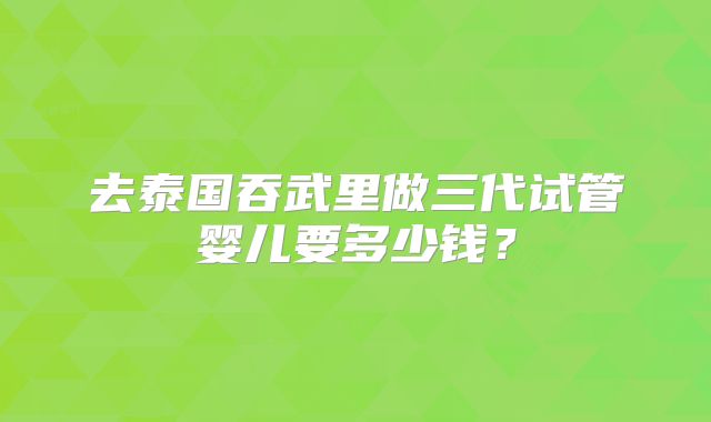 去泰国吞武里做三代试管婴儿要多少钱？