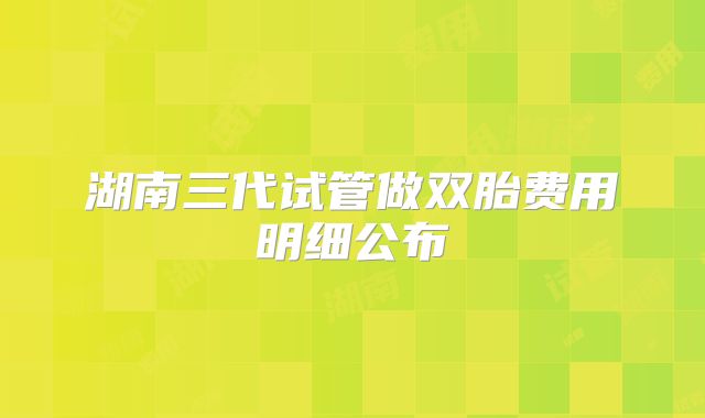 湖南三代试管做双胎费用明细公布