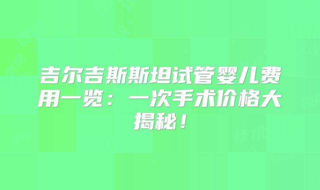 吉尔吉斯斯坦试管婴儿费用一览：一次手术价格大揭秘！