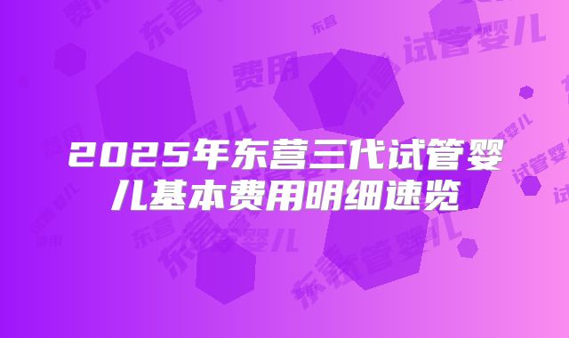 2025年东营三代试管婴儿基本费用明细速览