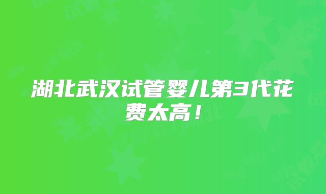 湖北武汉试管婴儿第3代花费太高!
