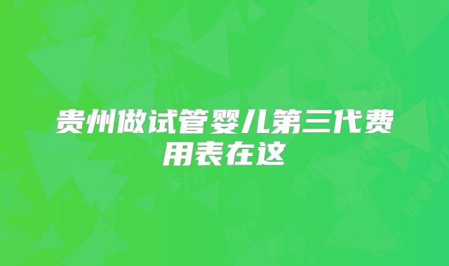 贵州做试管婴儿第三代费用表在这