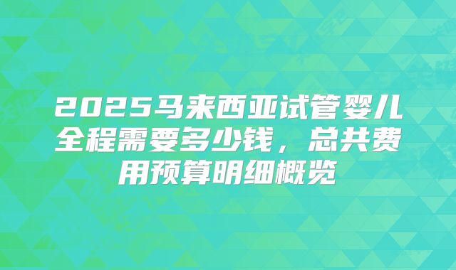 2025马来西亚试管婴儿全程需要多少钱，总共费用预算明细概览