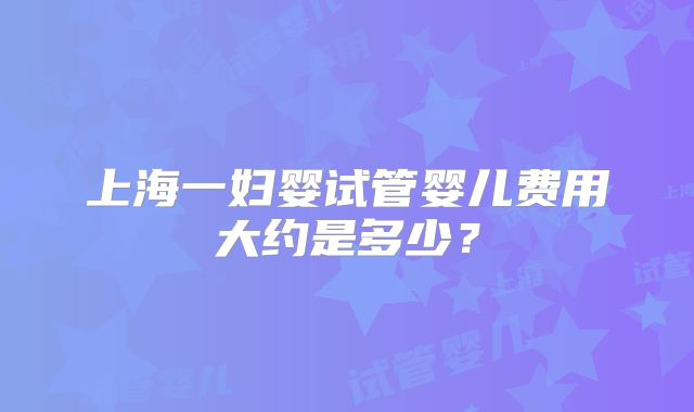 上海一妇婴试管婴儿费用大约是多少?