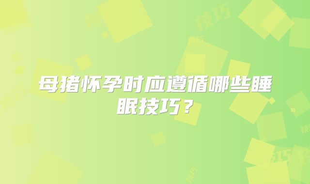 母猪怀孕时应遵循哪些睡眠技巧？