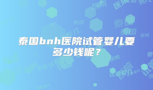 泰国bnh医院试管婴儿要多少钱呢?