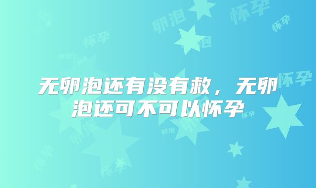 无卵泡还有没有救,无卵泡还可不可以怀孕