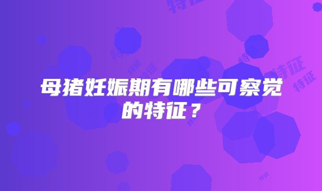 母猪妊娠期有哪些可察觉的特征？