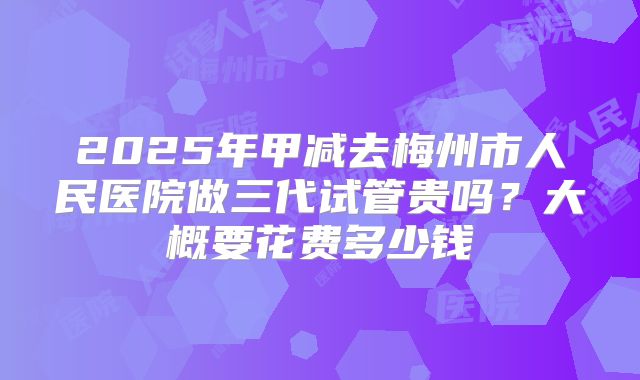 2025年甲减去梅州市人民医院做三代试管贵吗?大概要花费多少钱