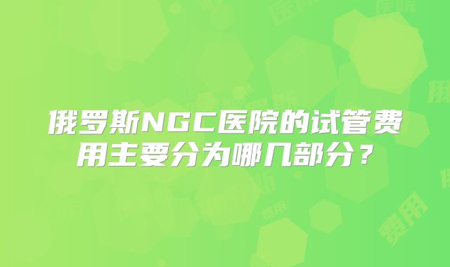 俄罗斯NGC医院的试管费用主要分为哪几部分？