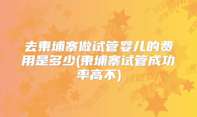 去柬埔寨做试管婴儿的费用是多少(柬埔寨试管成功率高不)