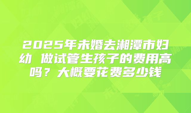 2025年未婚去湘潭市妇幼 做试管生孩子的费用高吗？大概要花费多少钱