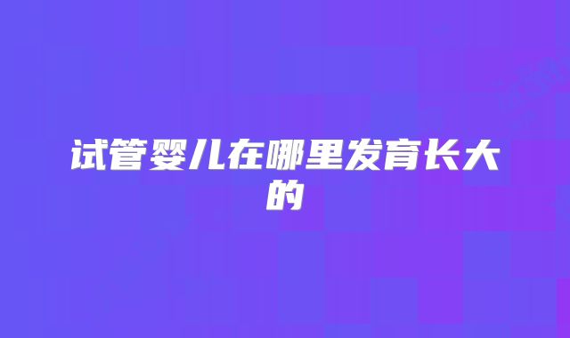 试管婴儿在哪里发育长大的