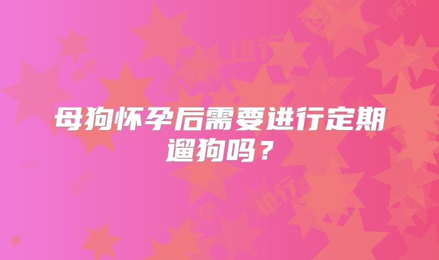 母狗怀孕后需要进行定期遛狗吗？