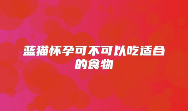 蓝猫怀孕可不可以吃适合的食物