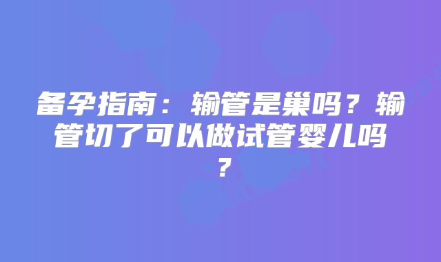 备孕指南：输管是巢吗？输管切了可以做试管婴儿吗？