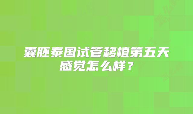 囊胚泰国试管移植第五天感觉怎么样?