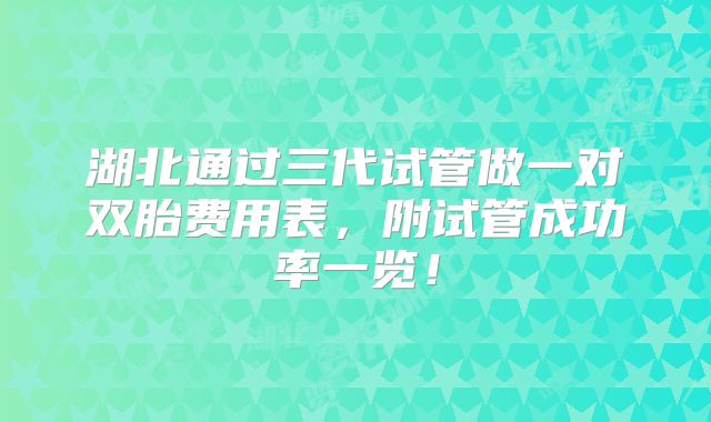湖北通过三代试管做一对双胎费用表，附试管成功率一览！