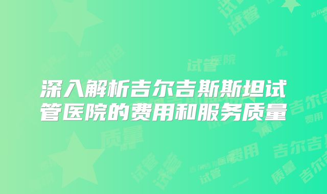 深入解析吉尔吉斯斯坦试管医院的费用和服务质量