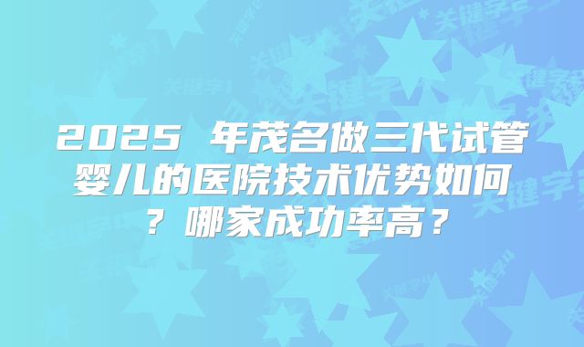 2025 年茂名做三代试管婴儿的医院技术优势如何？哪家成功率高？