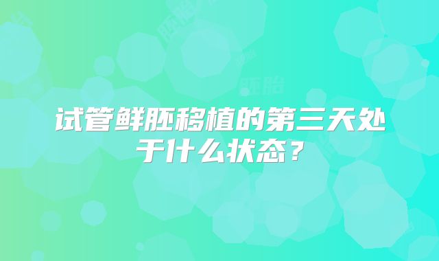 试管鲜胚移植的第三天处于什么状态？