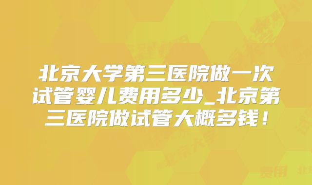北京大学第三医院做一次试管婴儿费用多少_北京第三医院做试管大概多钱！