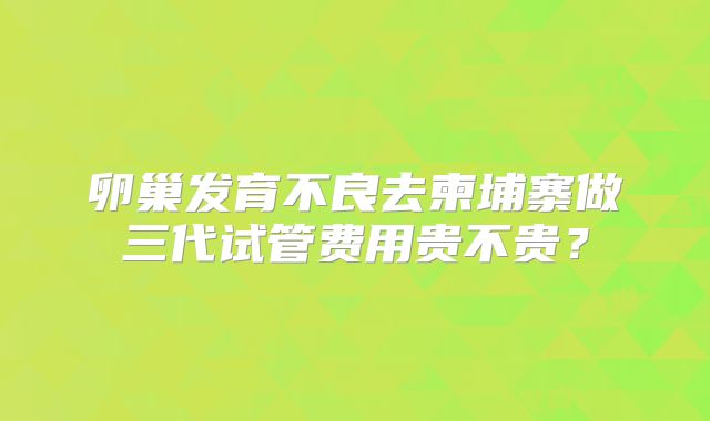 卵巢发育不良去柬埔寨做三代试管费用贵不贵？