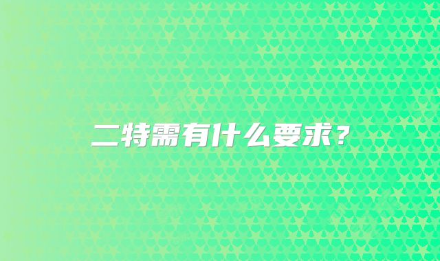 二特需有什么要求？