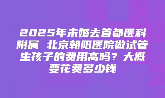 2025年未婚去首都医科附属 北京朝阳医院做试管生孩子的费用高吗?大概要花费多少钱