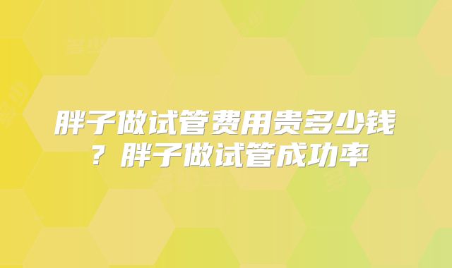 胖子做试管费用贵多少钱?胖子做试管成功率