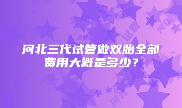 河北三代试管做双胎全部费用大概是多少?