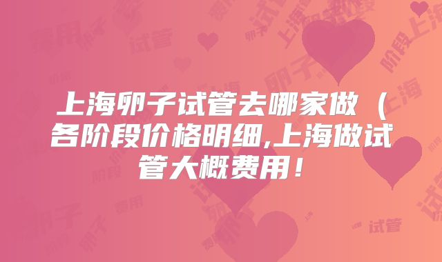 上海卵子试管去哪家做(各阶段价格明细,上海做试管大概费用!