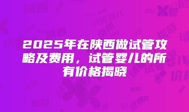 2025年在陕西做试管攻略及费用,试管婴儿的所有价格揭晓
