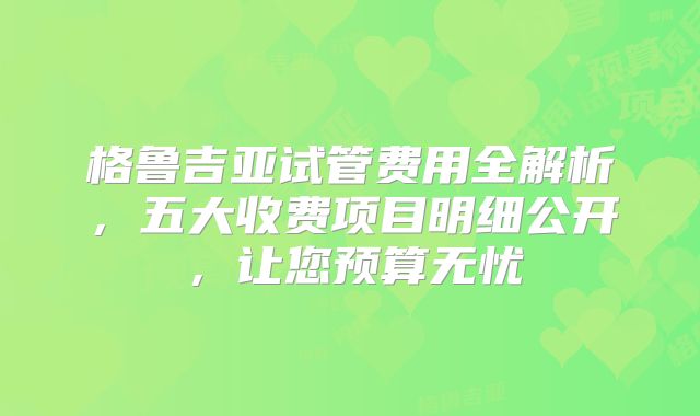 格鲁吉亚试管费用全解析，五大收费项目明细公开，让您预算无忧