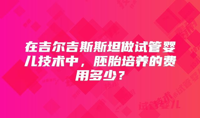 在吉尔吉斯斯坦做试管婴儿技术中，胚胎培养的费用多少？