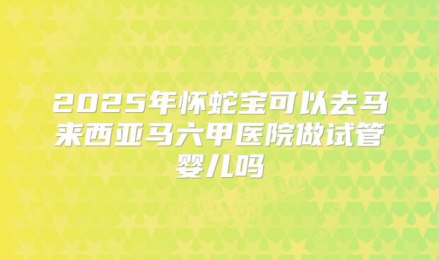 2025年怀蛇宝可以去马来西亚马六甲医院做试管婴儿吗
