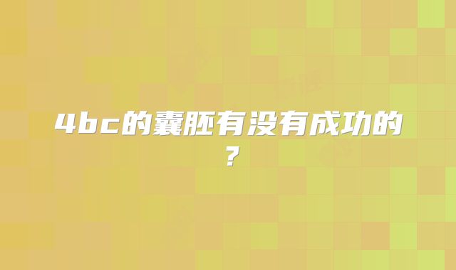 4bc的囊胚有没有成功的?
