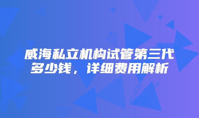 威海私立机构试管第三代多少钱，详细费用解析