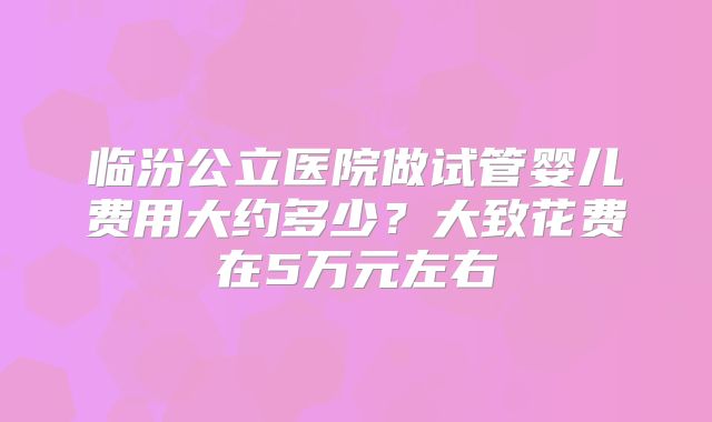 临汾公立医院做试管婴儿费用大约多少?大致花费在5万元左右