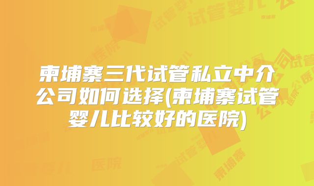 柬埔寨三代试管私立中介公司如何选择(柬埔寨试管婴儿比较好的医院)