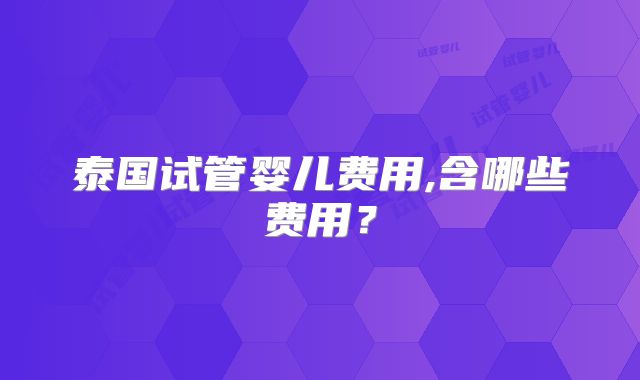 泰国试管婴儿费用,含哪些费用？
